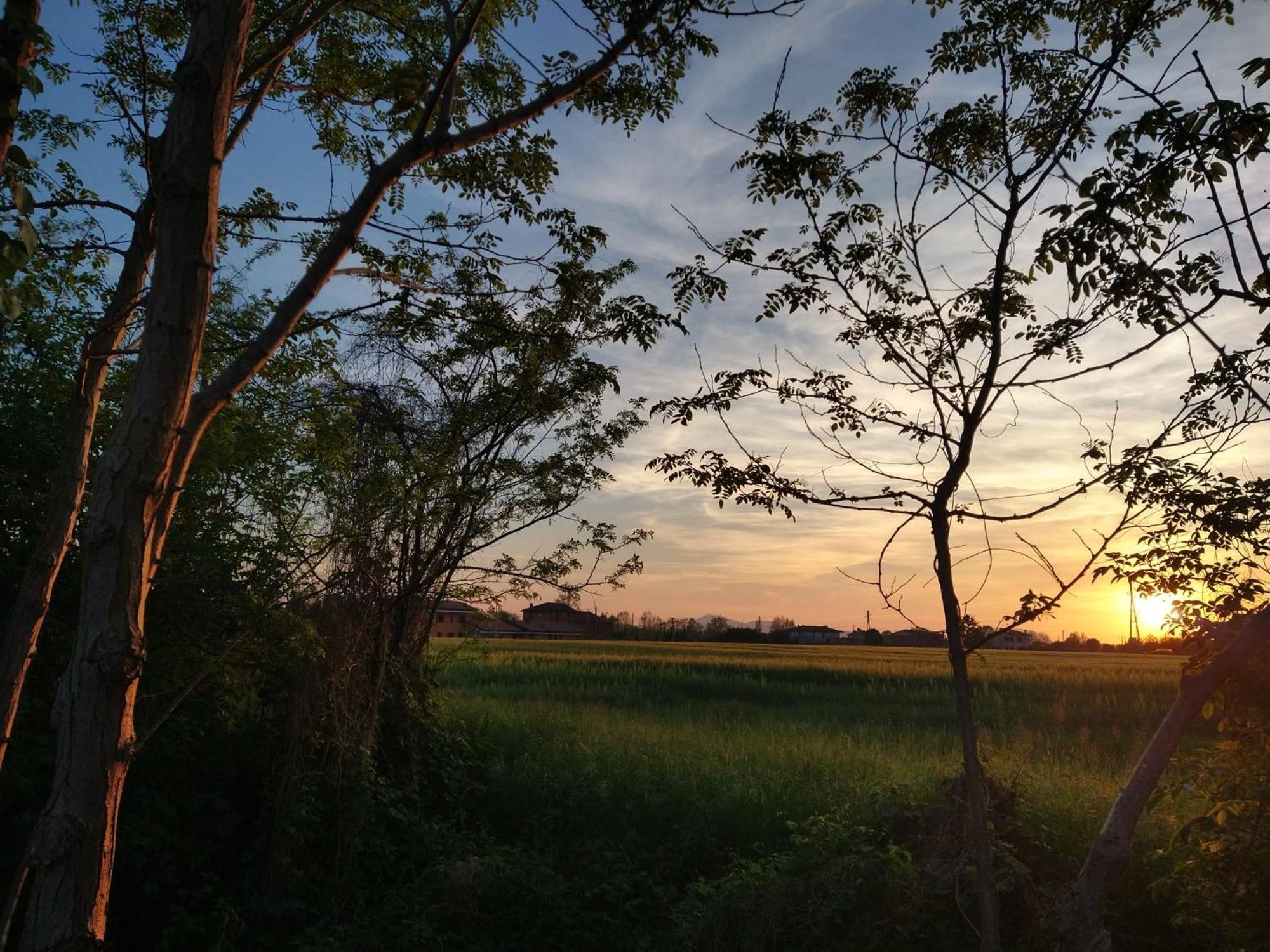 Agriturismo Verdecielo Padova Luaran gambar