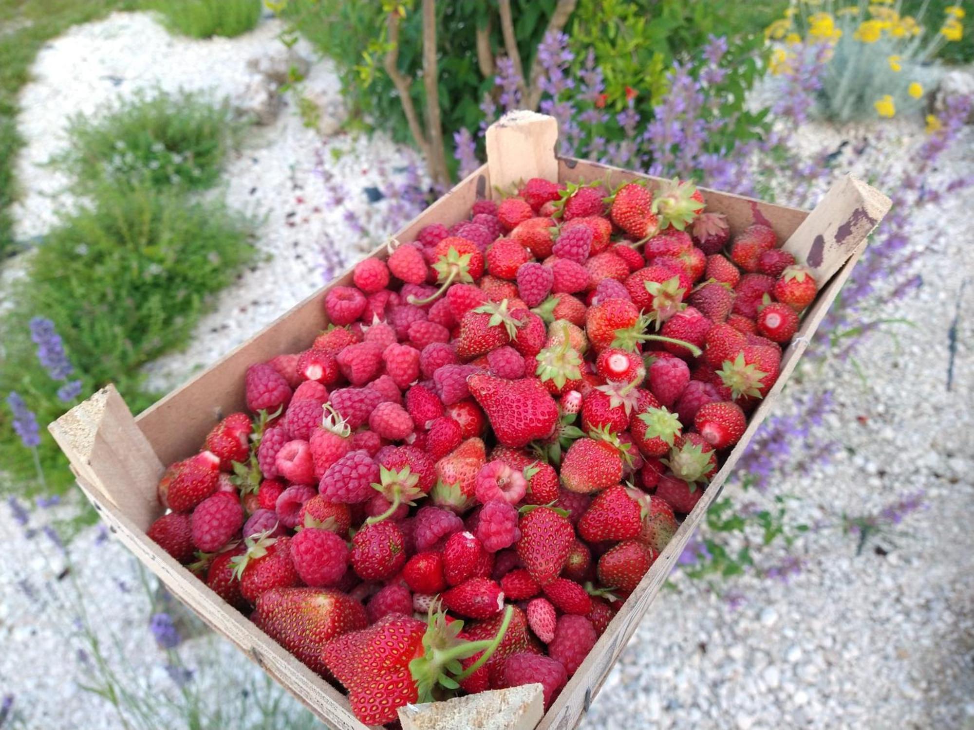 Agriturismo Verdecielo Padova Luaran gambar
