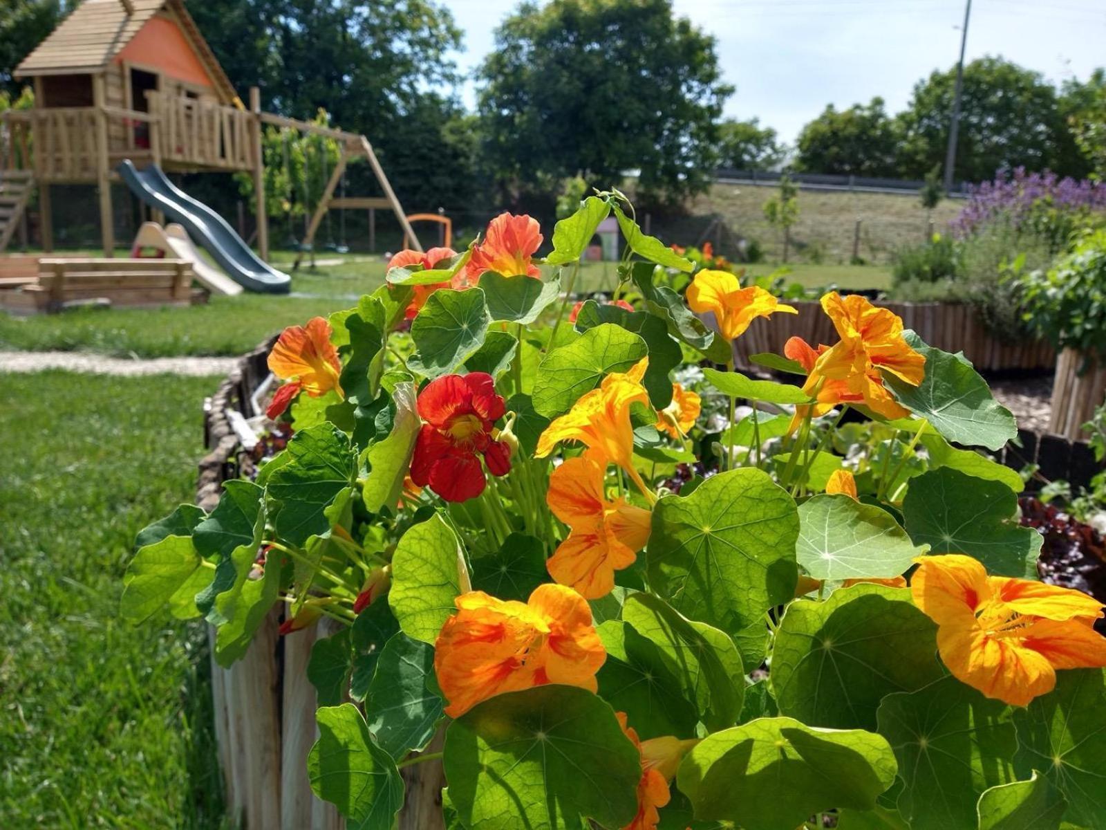 Agriturismo Verdecielo Padova Luaran gambar